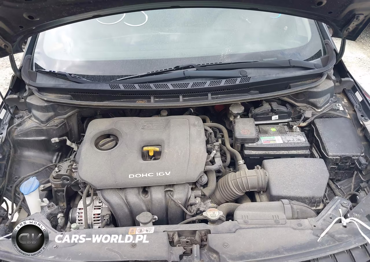 2017 Kia Forte Lx VIN:3KPFK4A7XHE121919 - 10