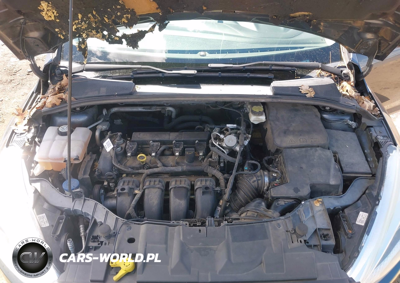 2017 Ford Focus Se VIN:1FADP3F25HL285608 - 10