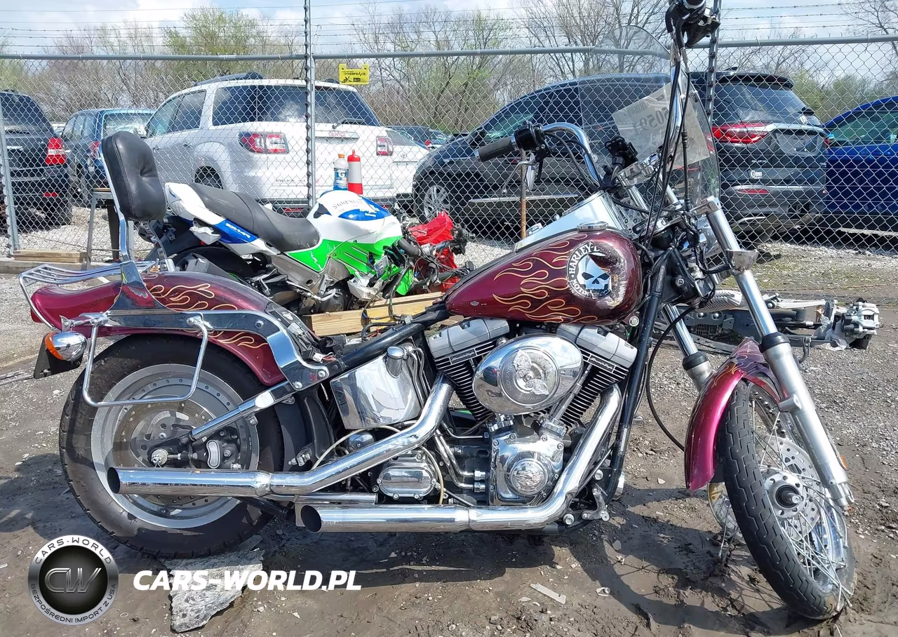 2000 Harley-Davidson Fxst VIN:1HD1BHY1XYY015398 - 12