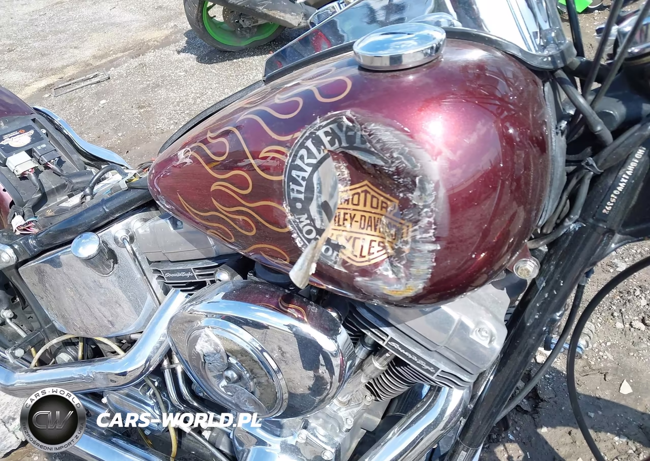 2000 Harley-Davidson Fxst VIN:1HD1BHY1XYY015398 - 15