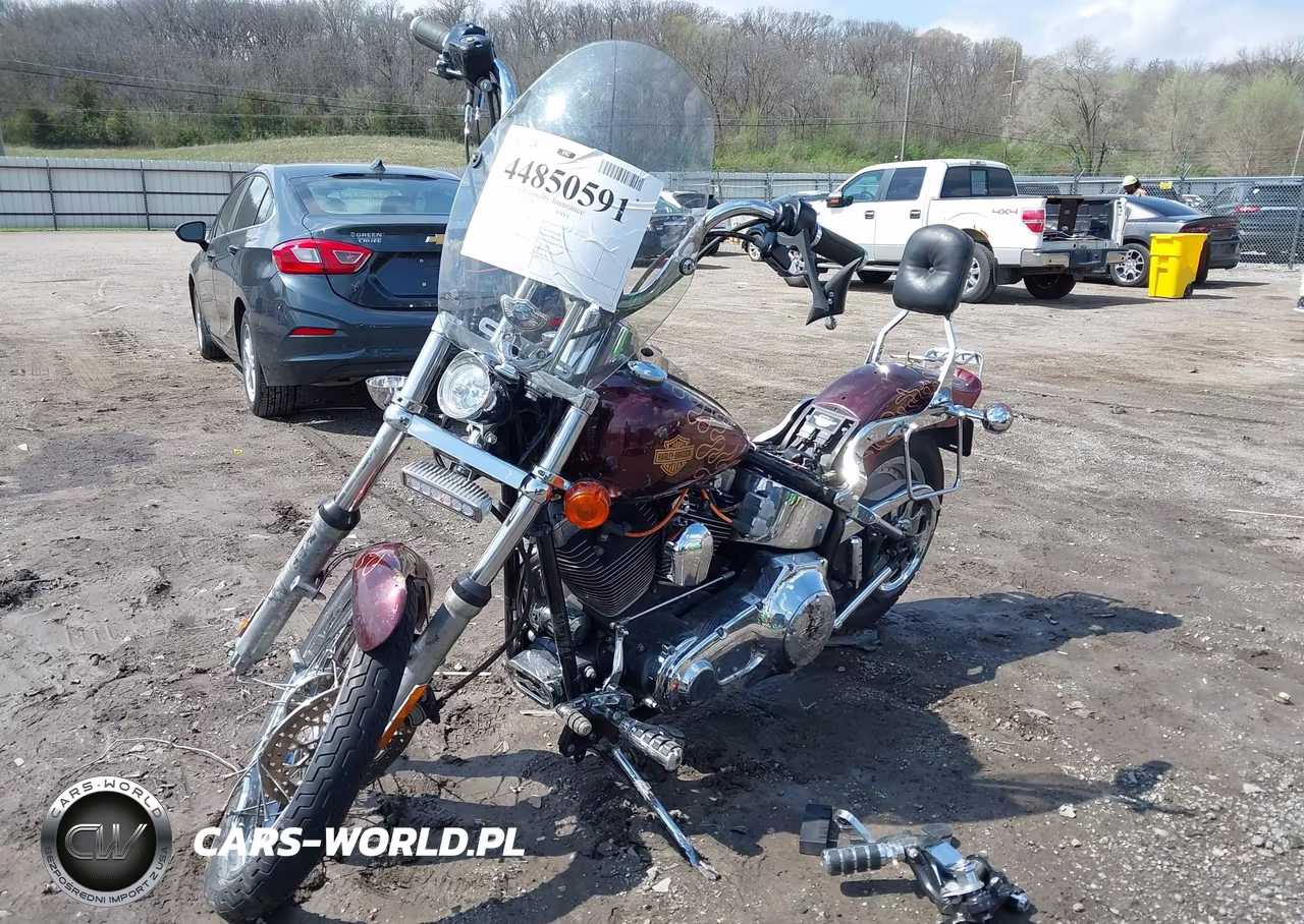 2000 Harley-Davidson Fxst VIN:1HD1BHY1XYY015398 - 2