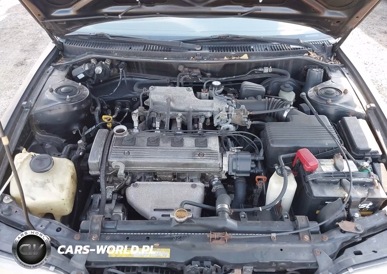 1995 Toyota Corolla Le-Dx VIN:2T1AE09B9SC133424 - 10