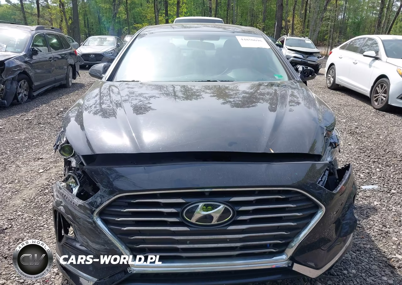 2018 Hyundai Sonata Se VIN:5NPE24AF3JH612823 - 12