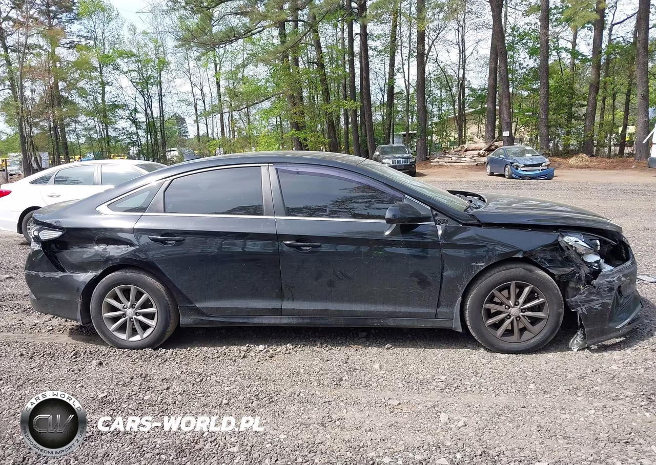 2018 Hyundai Sonata Se VIN:5NPE24AF3JH612823 - 13