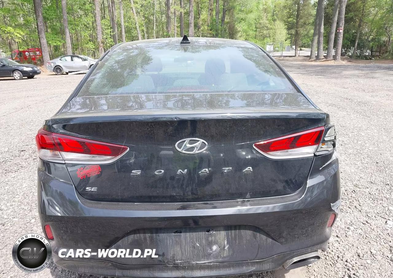2018 Hyundai Sonata Se VIN:5NPE24AF3JH612823 - 16