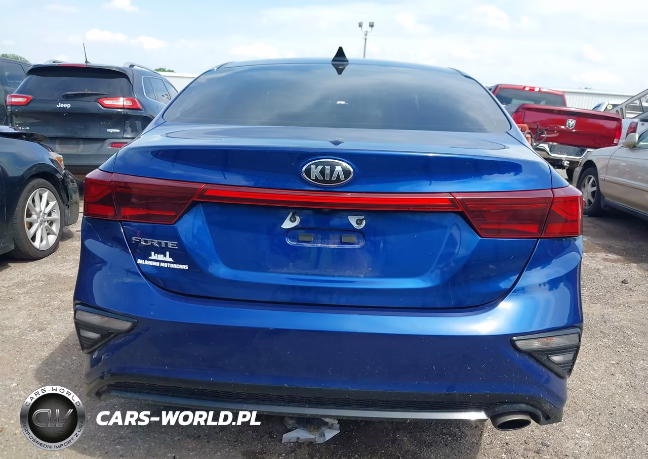 2020 Kia Forte Lxs VIN:3KPF24AD8LE259344 - 17