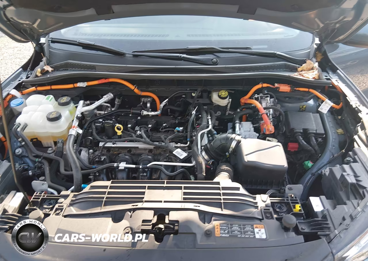 2024 Ford Escape Phev VIN:1FMCU0E18RUB55013 - 10