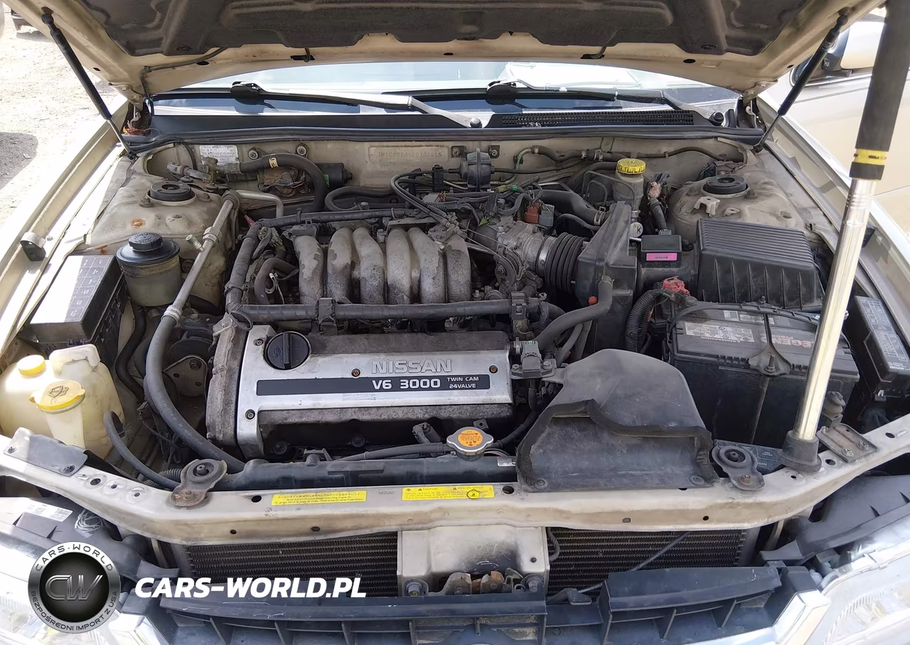 1999 Nissan Maxima Gle-Gxe-Se-Se-L VIN:JN1CA21A5XM301415 - 10