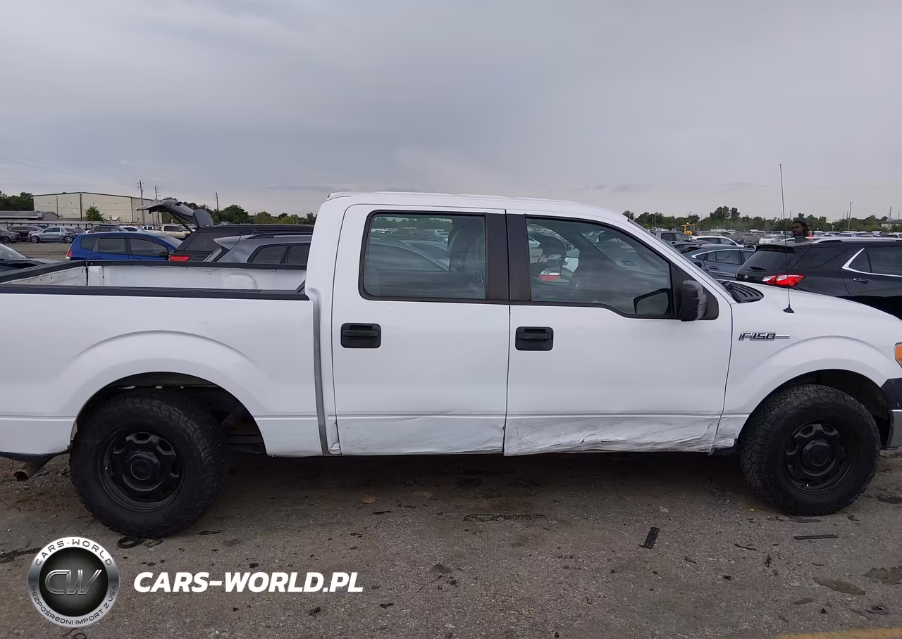 2014 Ford F-150 Xl VIN:1FTEW1CM4EKF19976 - 13