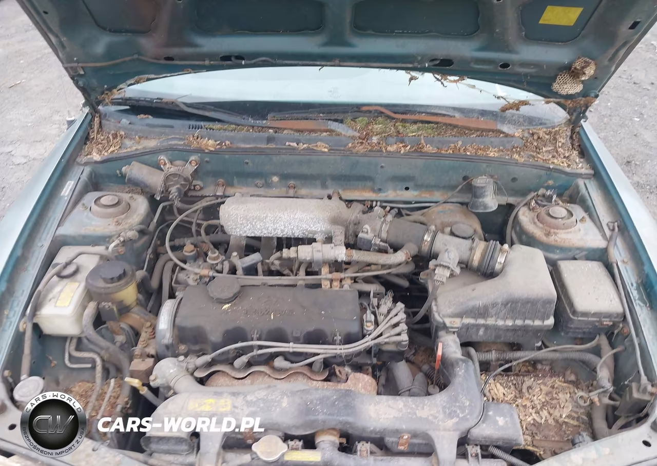 1997 Hyundai Accent Gs-Gt VIN:KMHVD34N1VU252773 - 10