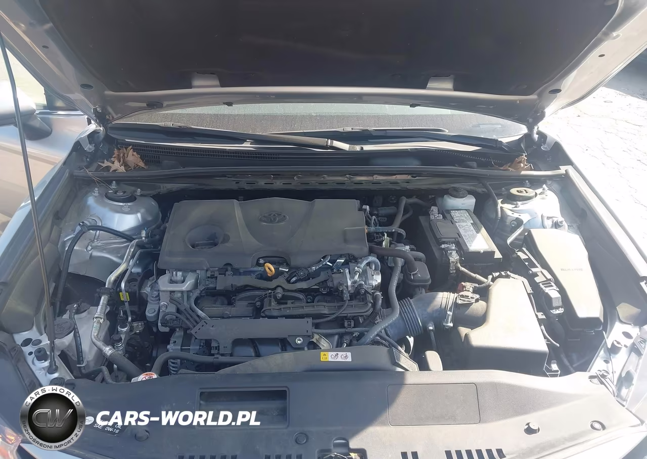 2023 Toyota Camry Le VIN:4T1C11AK1PU835412 - 10