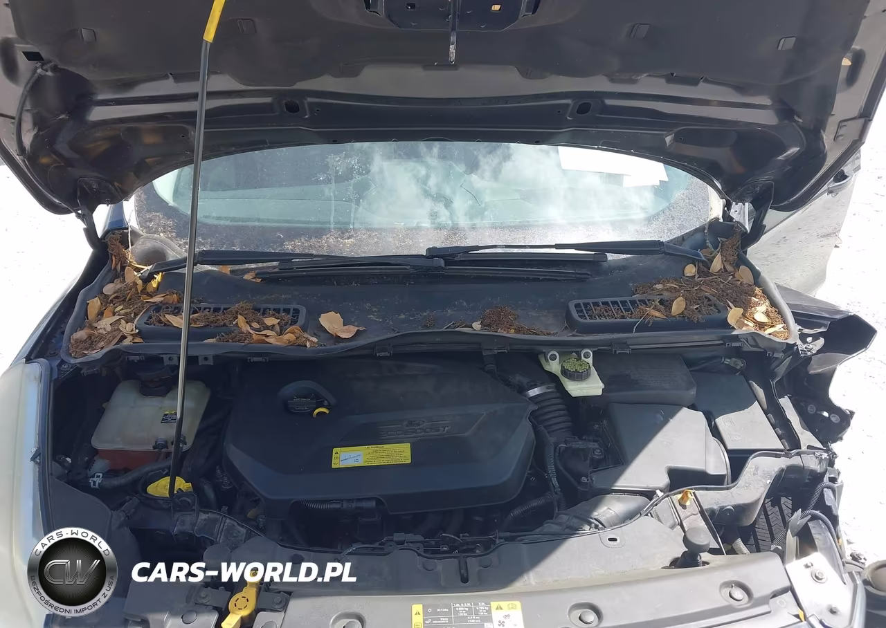 2013 Ford Escape Sel VIN:1FMCU0HXXDUB85820 - 10