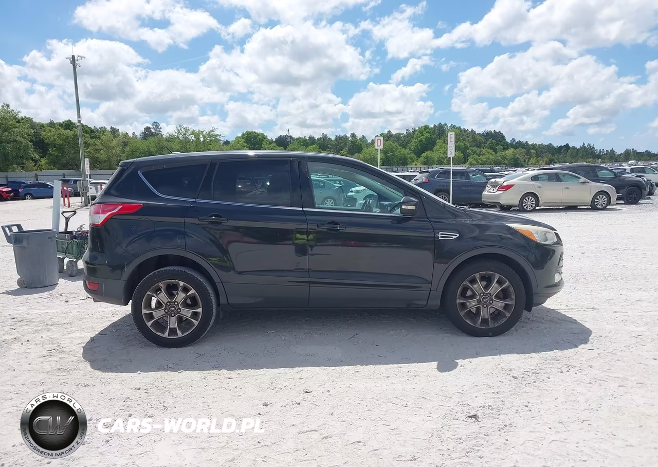 2013 Ford Escape Sel VIN:1FMCU0HXXDUB85820 - 14