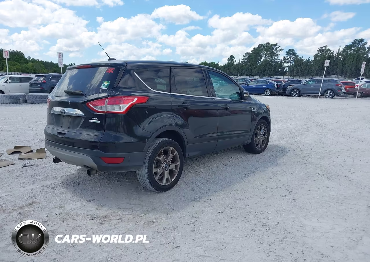 2013 Ford Escape Sel VIN:1FMCU0HXXDUB85820 - 4