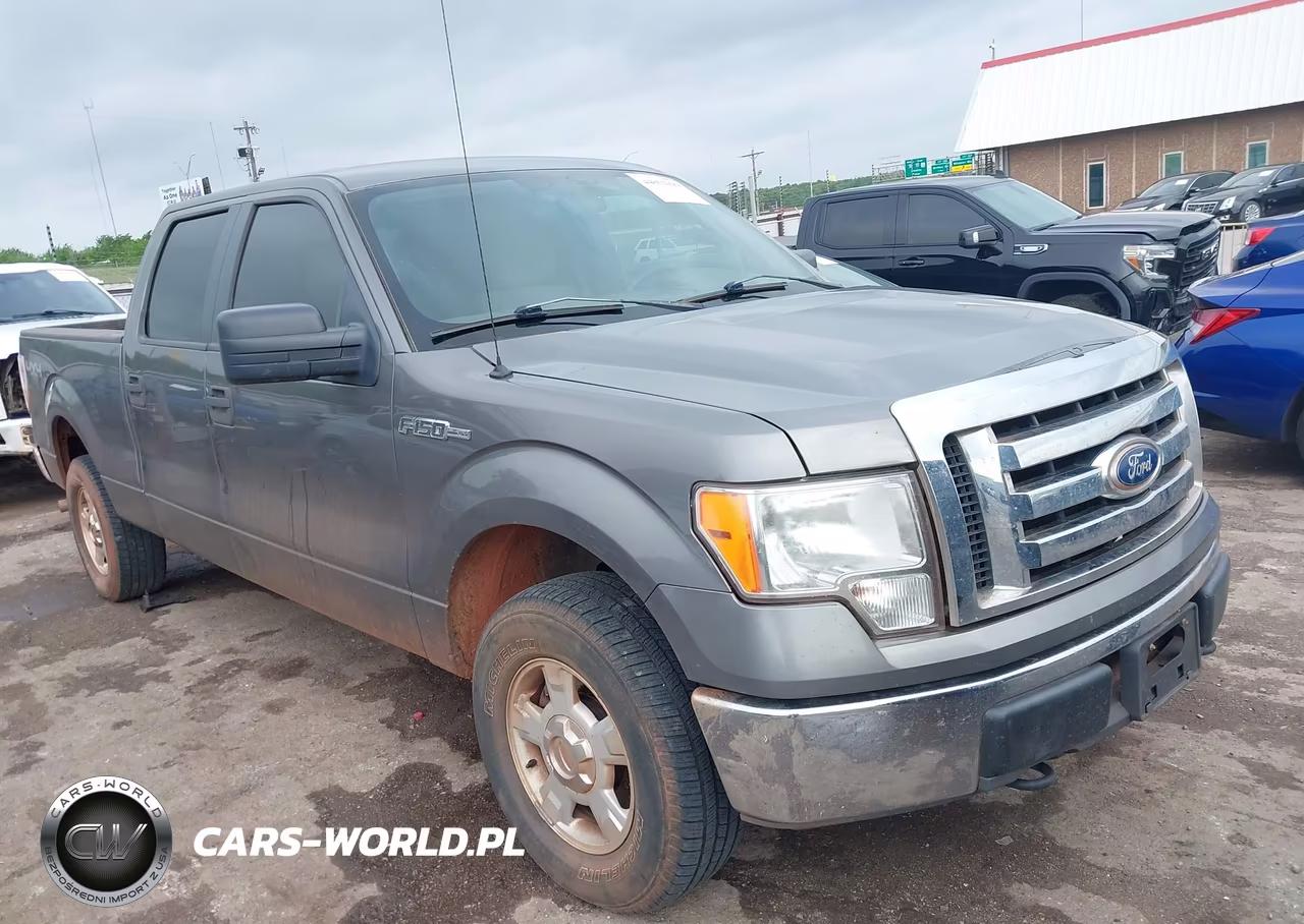 2010 Ford F-150 Xl-Xlt