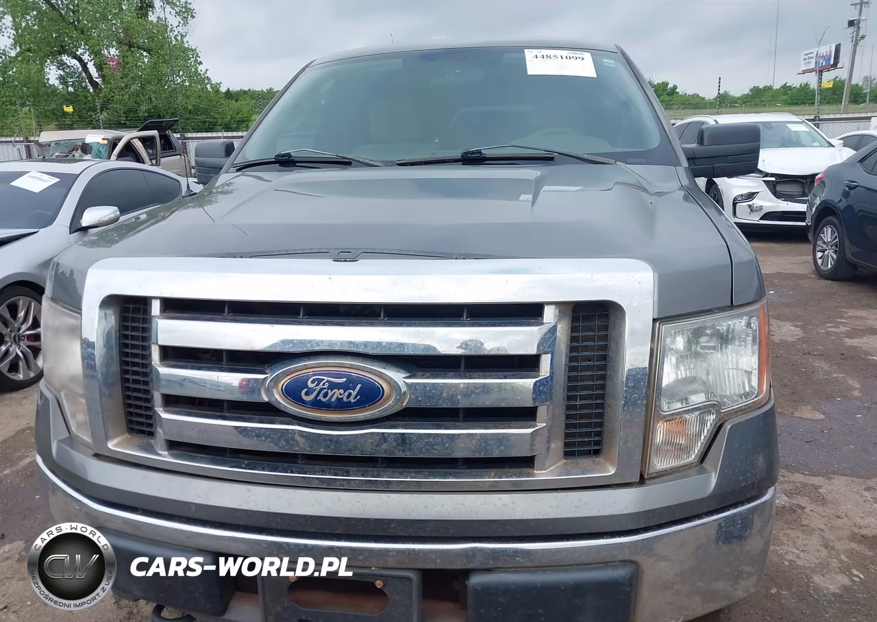 2010 Ford F-150 Xl-Xlt VIN:1FTFW1E82AKE21625 - 12