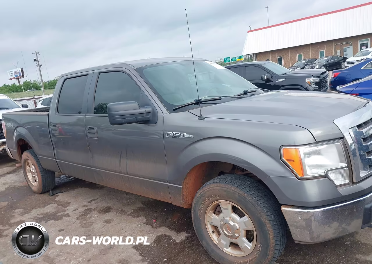 2010 Ford F-150 Xl-Xlt VIN:1FTFW1E82AKE21625 - 13
