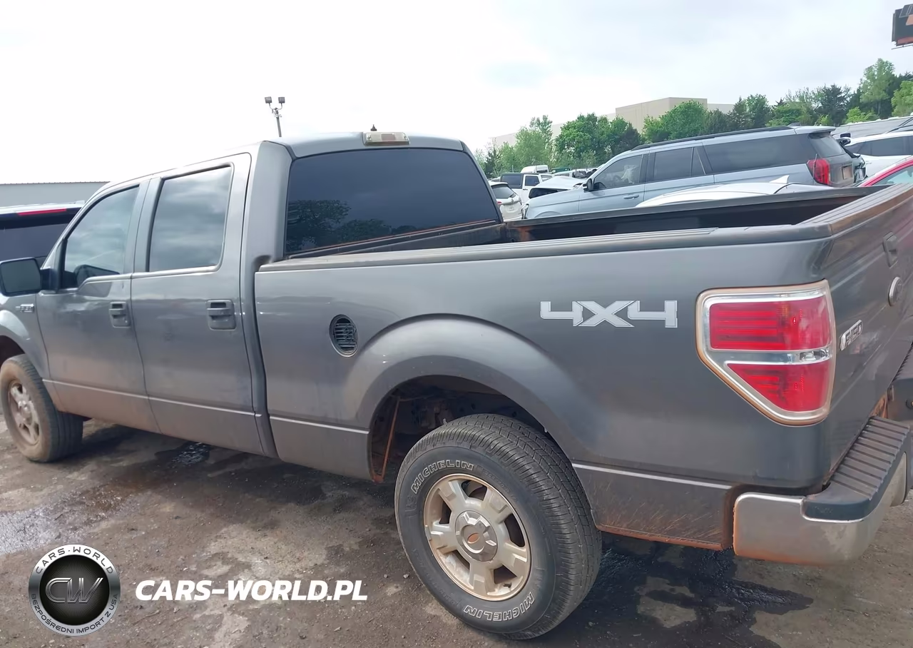 2010 Ford F-150 Xl-Xlt VIN:1FTFW1E82AKE21625 - 14