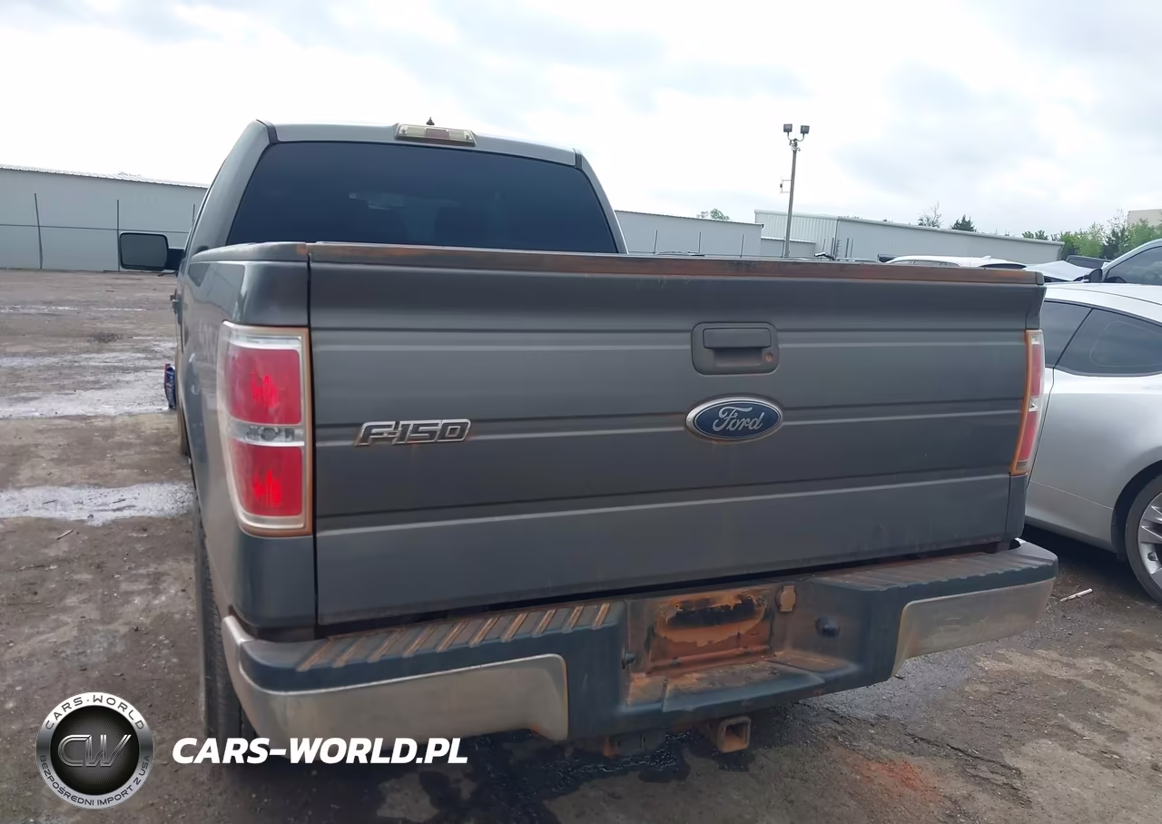 2010 Ford F-150 Xl-Xlt VIN:1FTFW1E82AKE21625 - 16