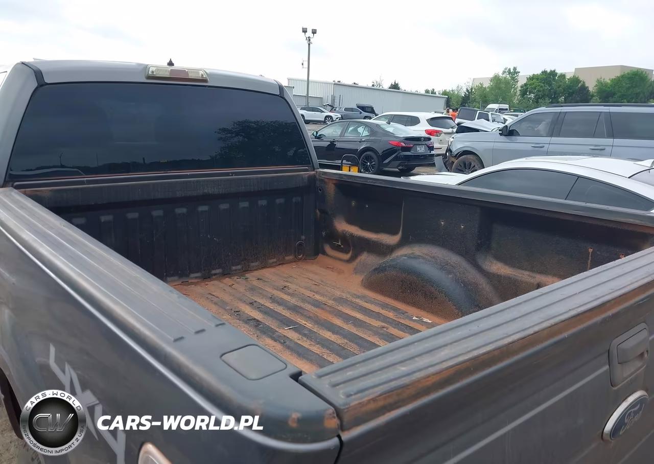 2010 Ford F-150 Xl-Xlt VIN:1FTFW1E82AKE21625 - 17