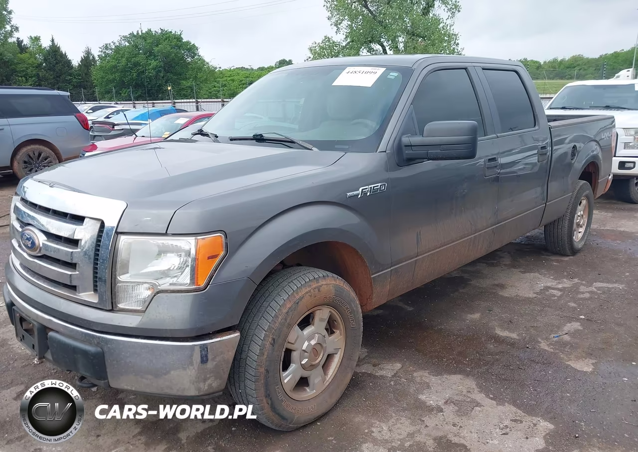 2010 Ford F-150 Xl-Xlt VIN:1FTFW1E82AKE21625 - 2