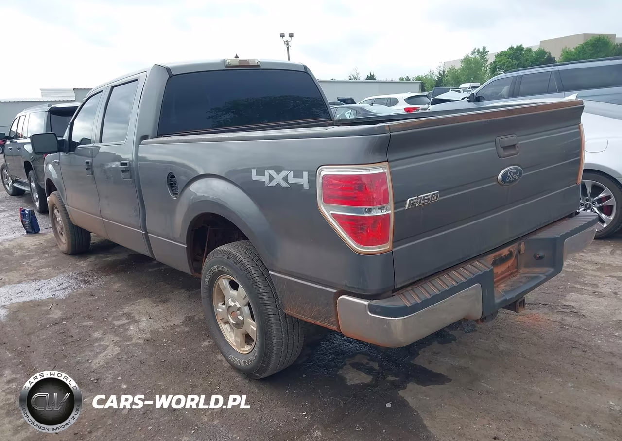 2010 Ford F-150 Xl-Xlt VIN:1FTFW1E82AKE21625 - 3