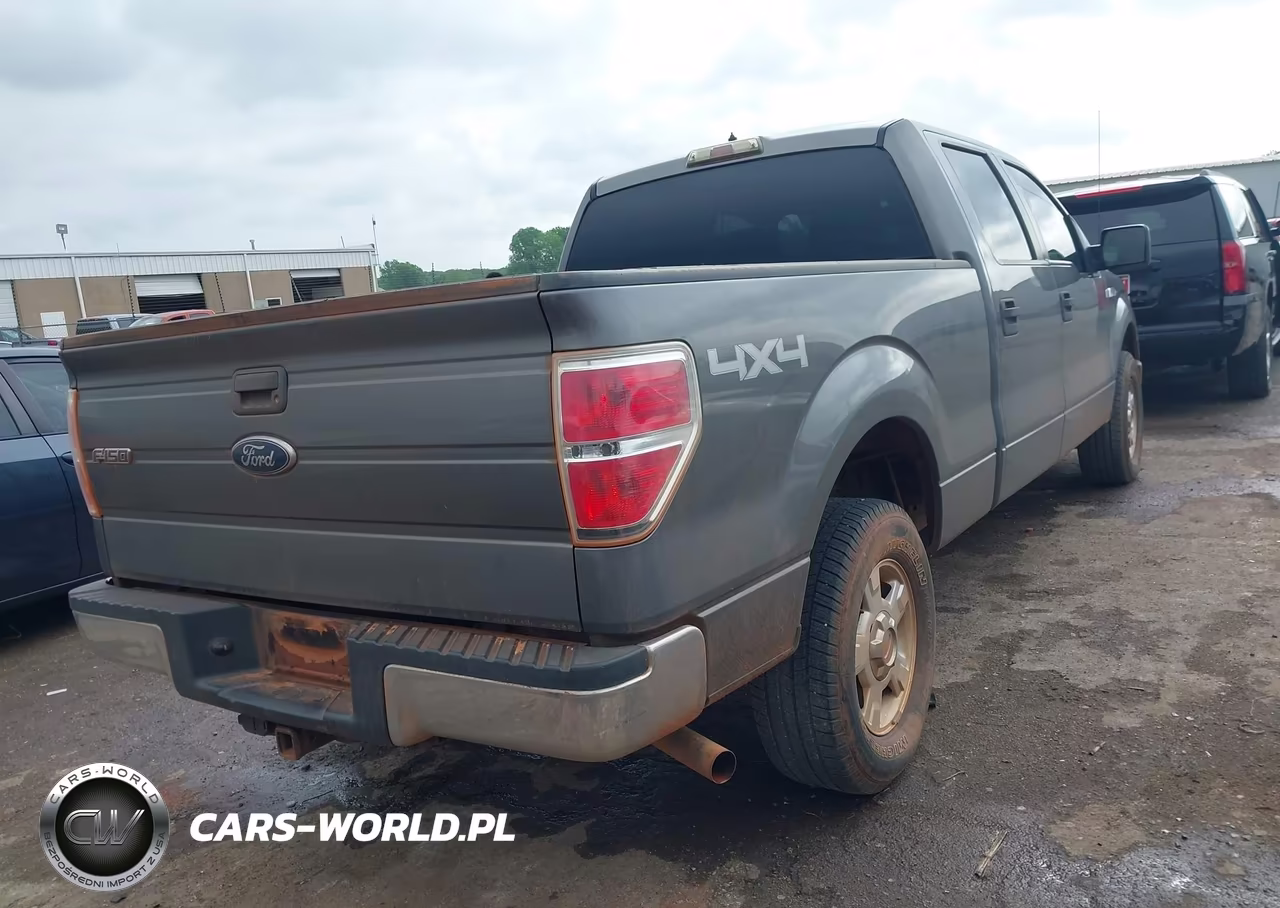 2010 Ford F-150 Xl-Xlt VIN:1FTFW1E82AKE21625 - 4