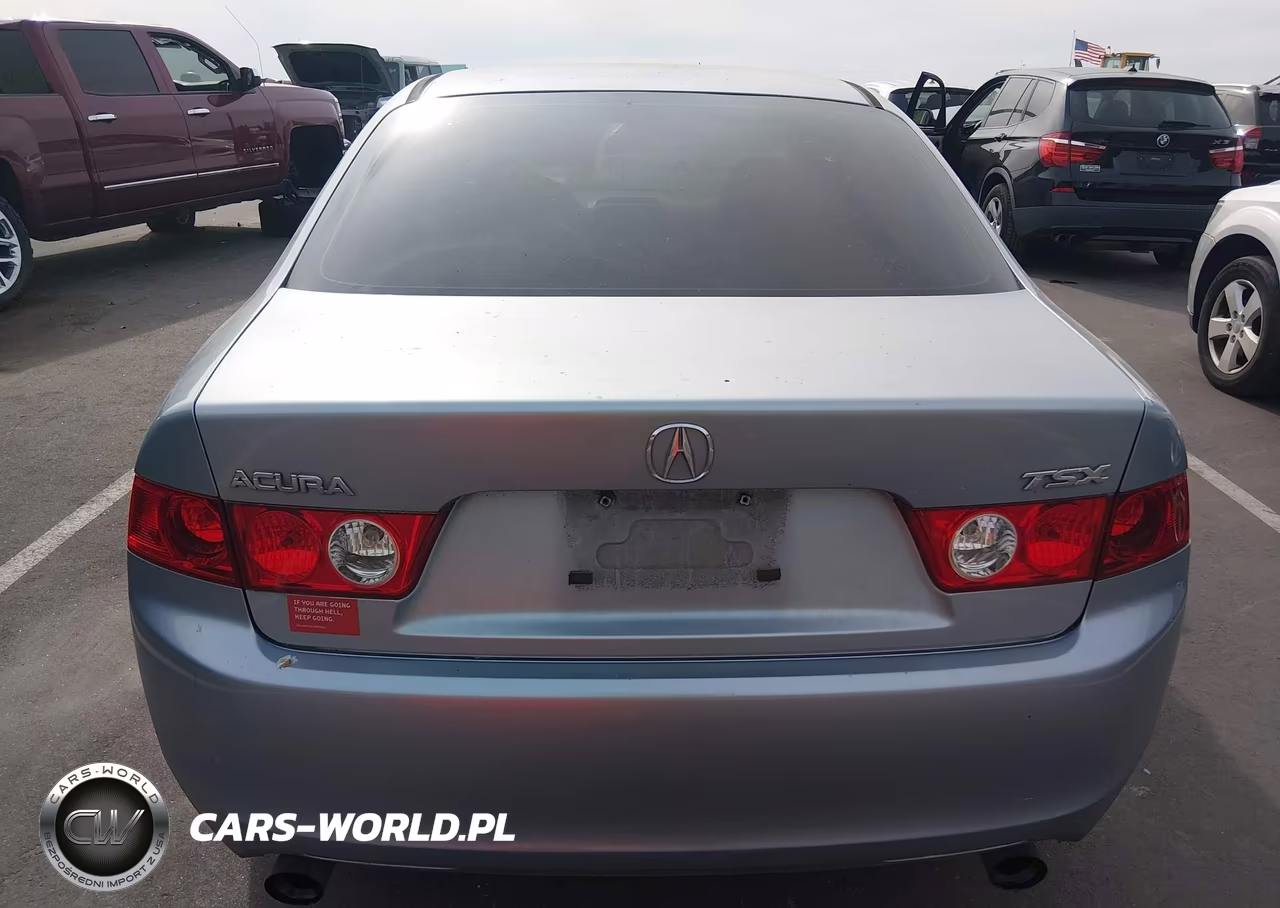 2004 Acura Tsx VIN:JH4CL96864C031259 - 16