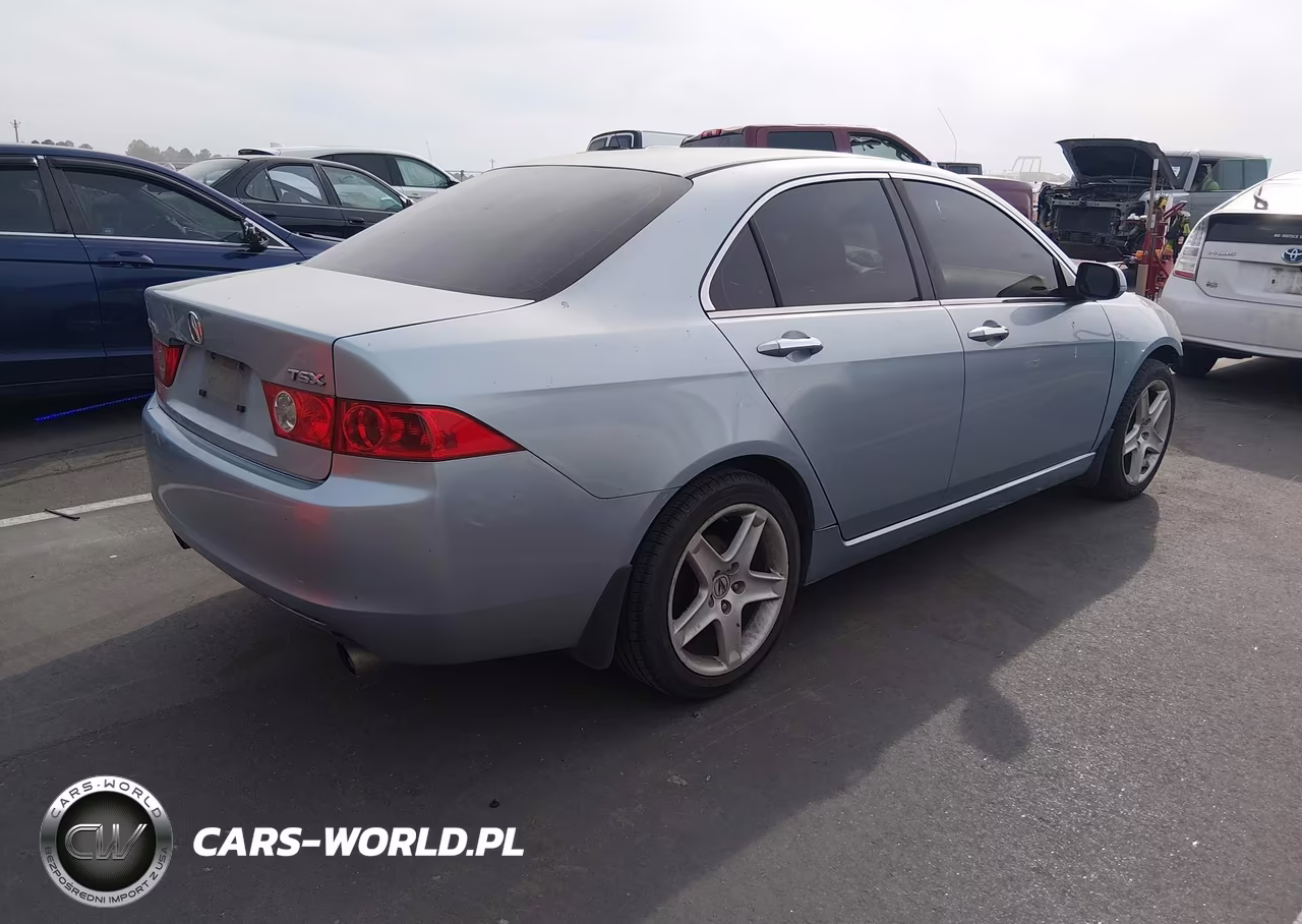 2004 Acura Tsx VIN:JH4CL96864C031259 - 4