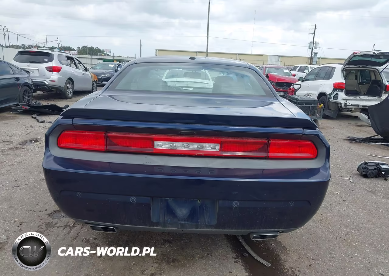 2013 Dodge Challenger R-T Plus VIN:2C3CDYBTXDH741818 - 17