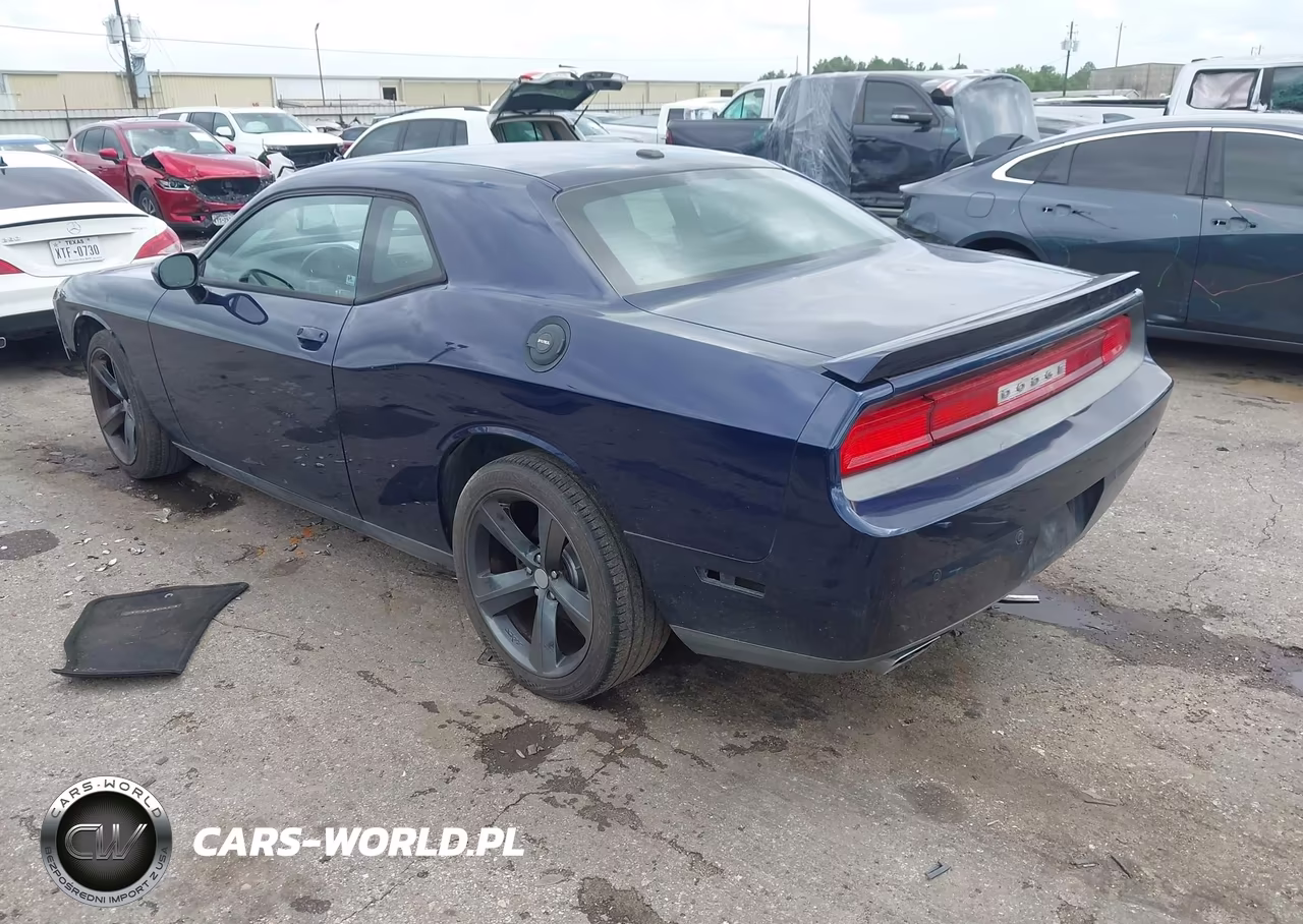 2013 Dodge Challenger R-T Plus VIN:2C3CDYBTXDH741818 - 3