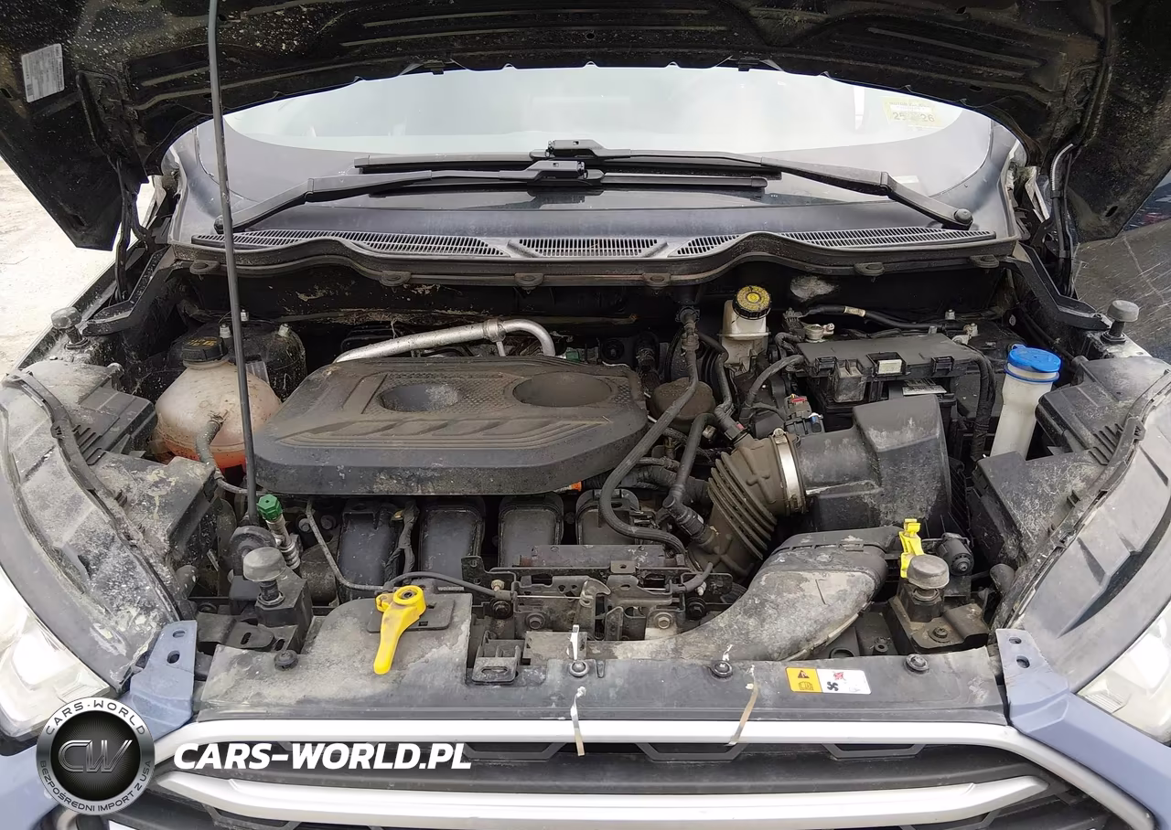 2019 Ford Ecosport Se VIN:MAJ6S3GL3KC272880 - 10