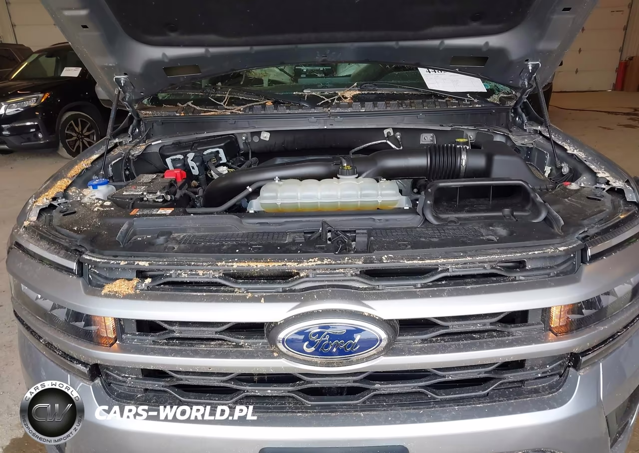 2023 Ford Expedition Xlt VIN:1FMJU1J80PEA25623 - 10