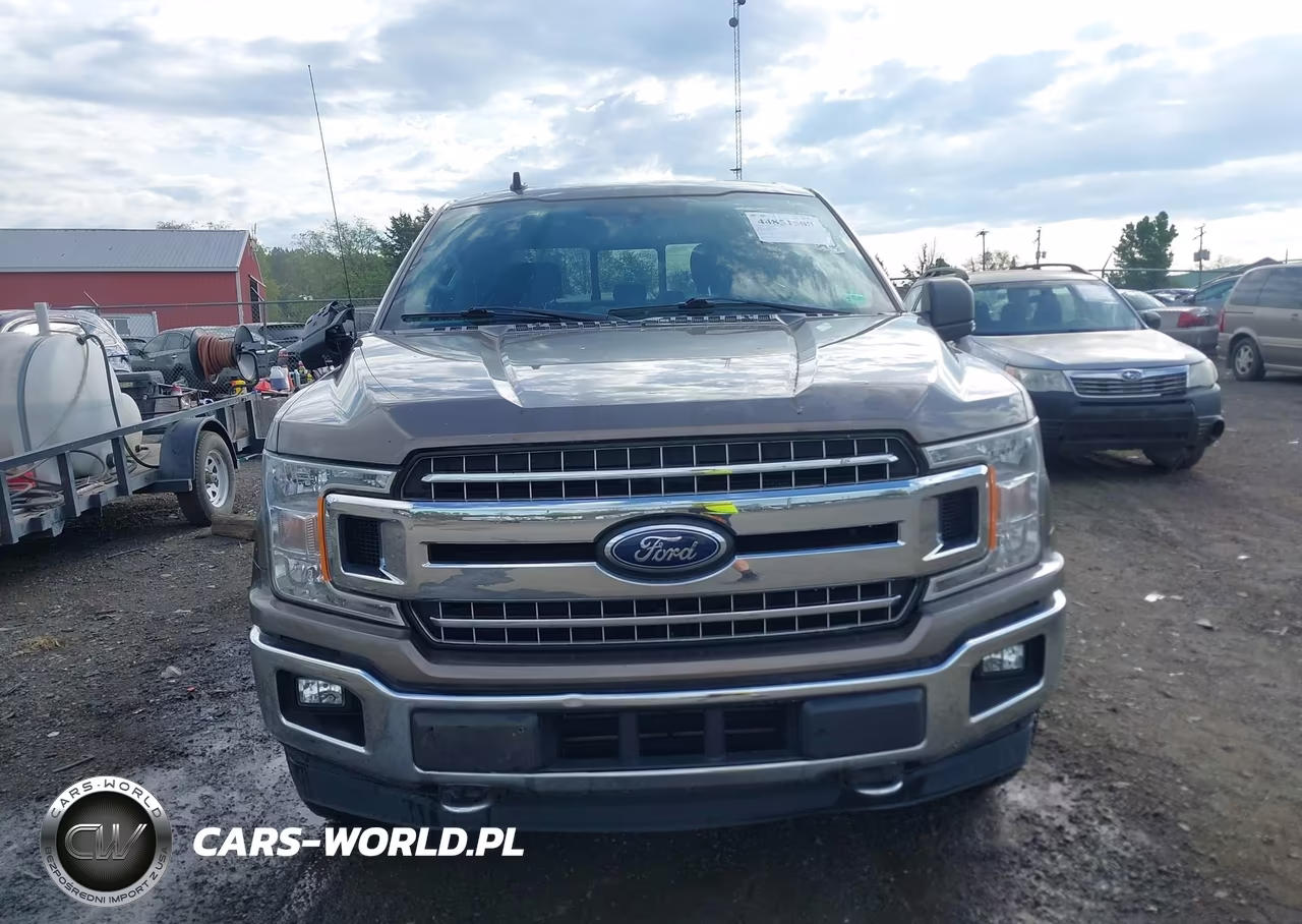 2019 Ford F-150 Xlt VIN:1FTEW1E42KKD76602 - 12