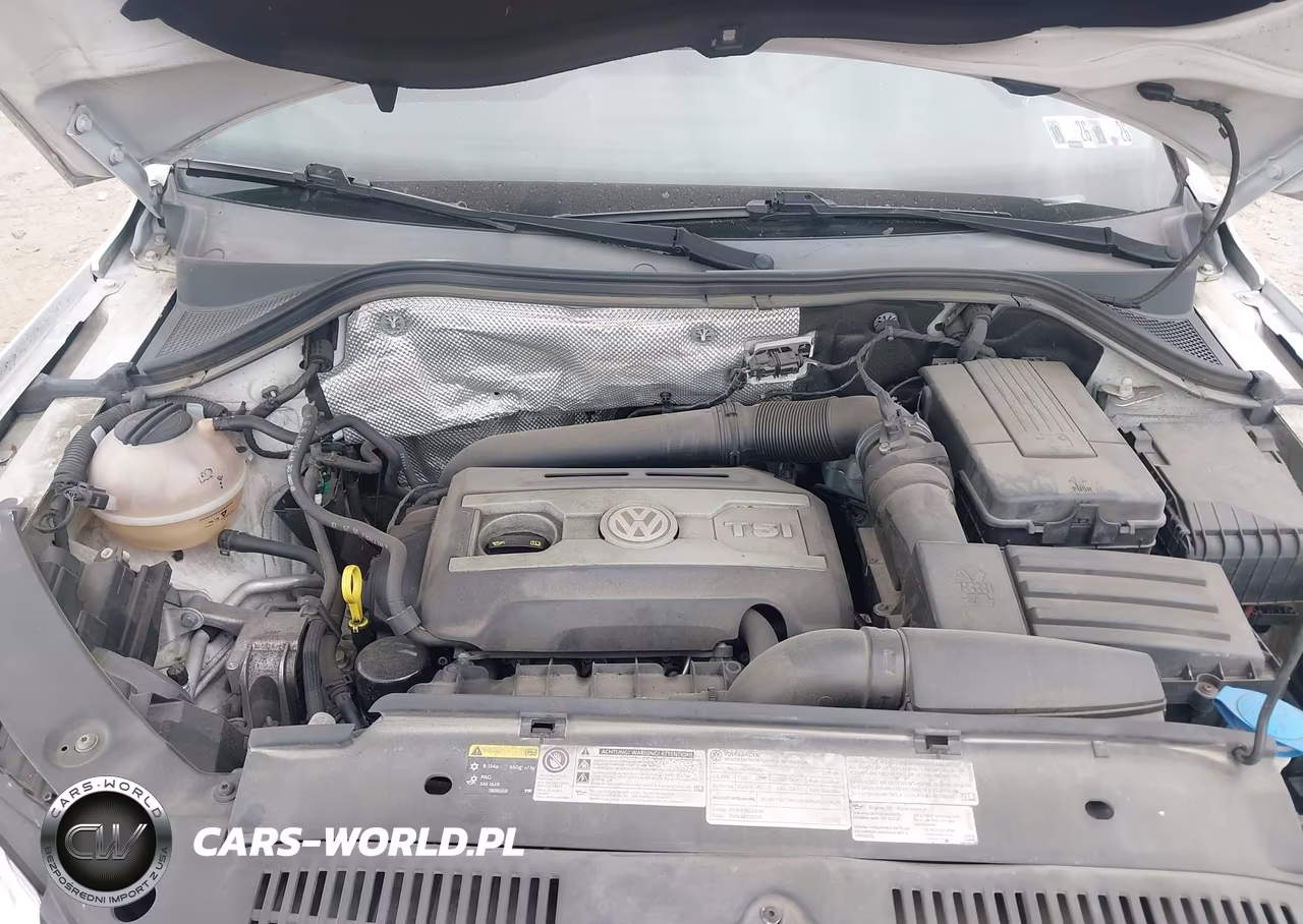 2014 Volkswagen Tiguan R-Line-S-Se-Sel VIN:WVGBV3AX0EW522182 - 10