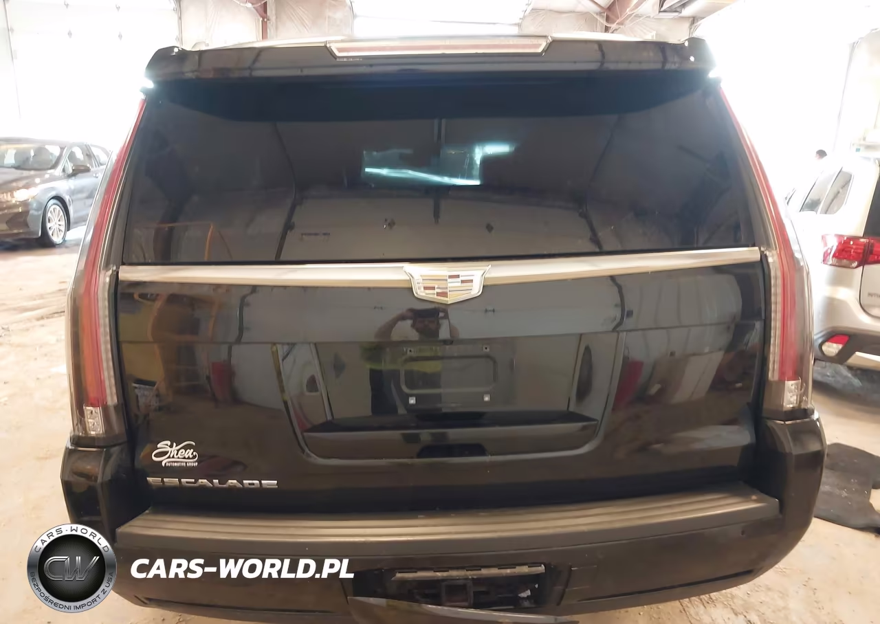 2016 Cadillac Escalade Platinum VIN:1GYS4DKJ6GR368533 - 16