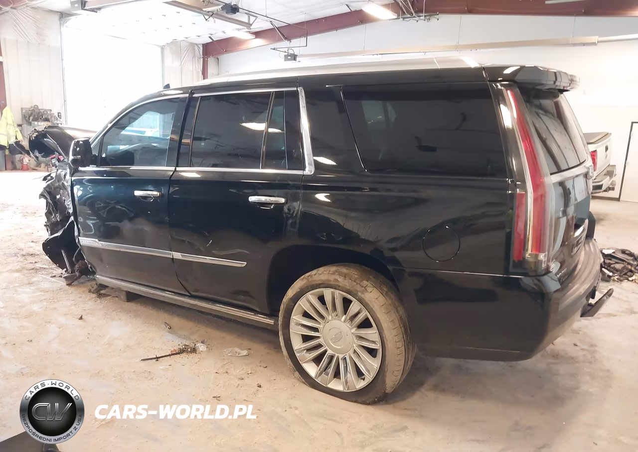 2016 Cadillac Escalade Platinum VIN:1GYS4DKJ6GR368533 - 3