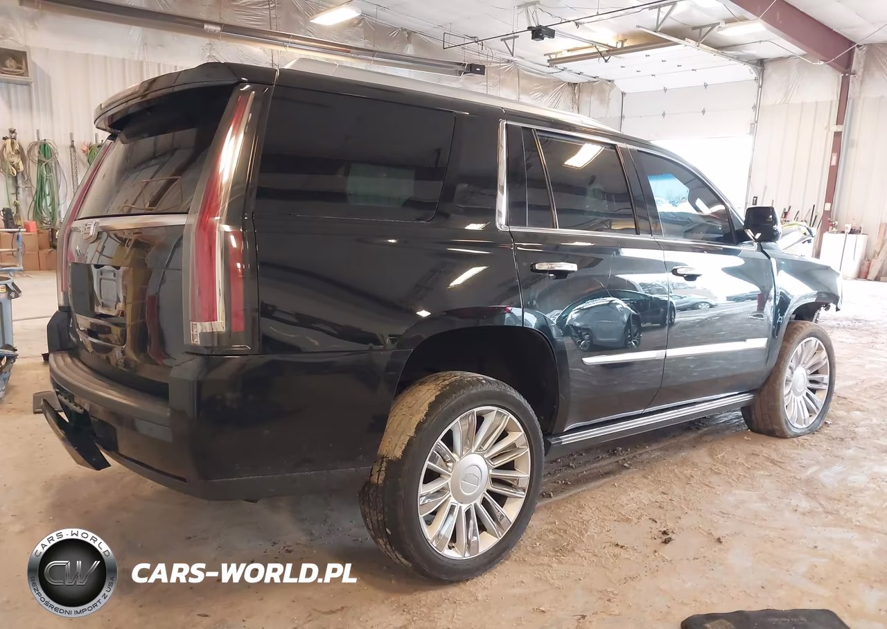 2016 Cadillac Escalade Platinum VIN:1GYS4DKJ6GR368533 - 4