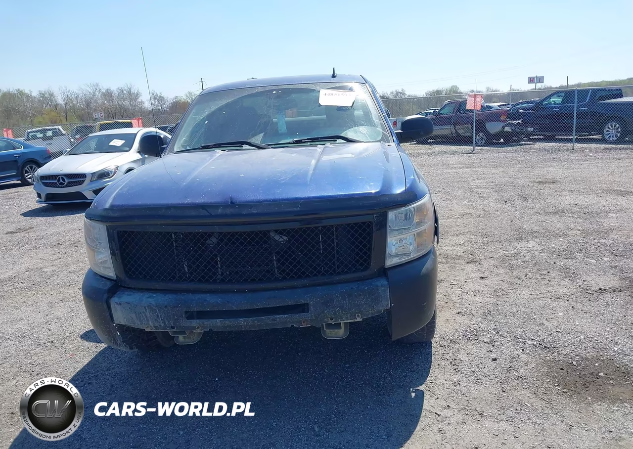 2013 Chevrolet Silverado 1500 Ls VIN:1GCRCREA5DZ111455 - 12