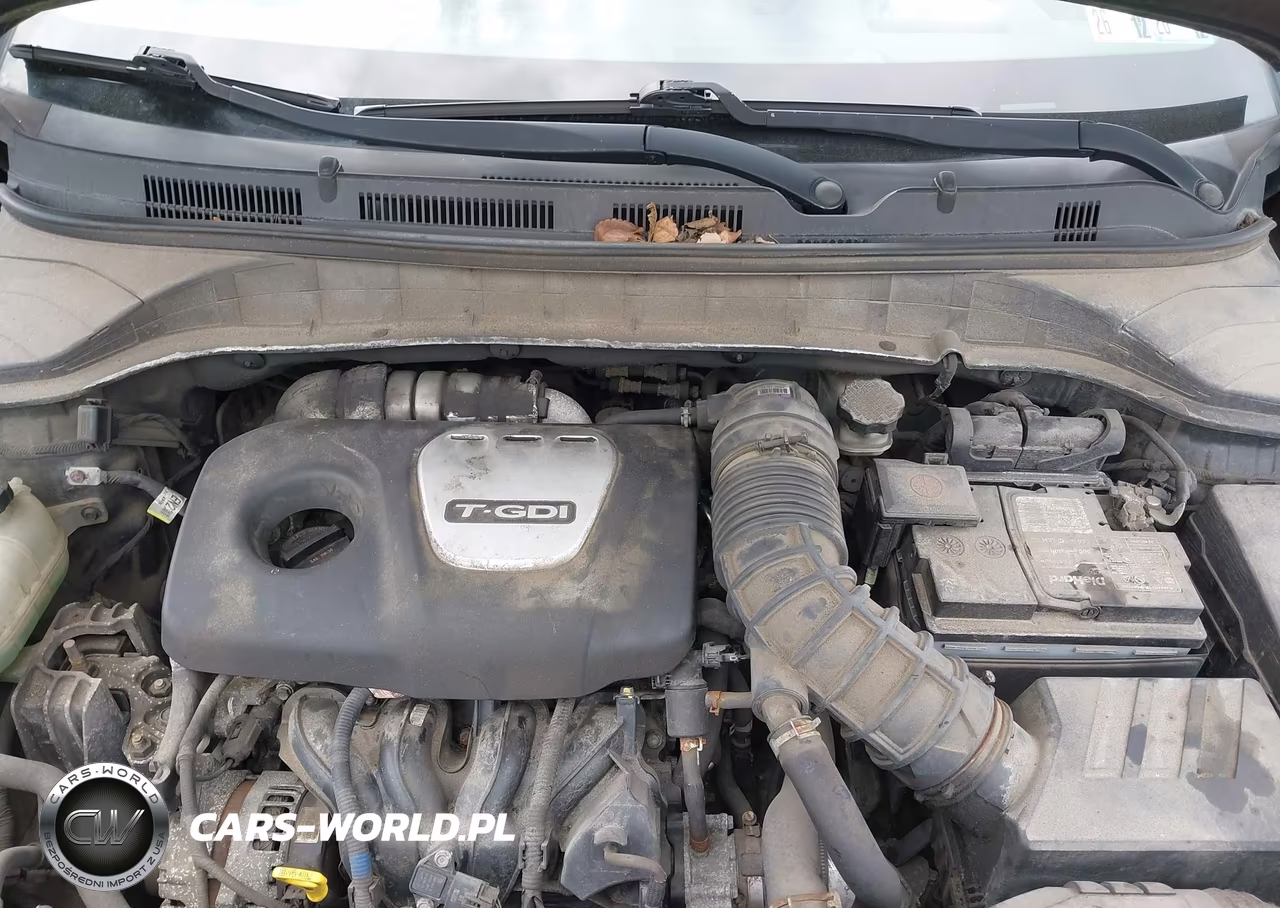 2019 Hyundai Kona Ultimate VIN:KM8K5CA5XKU233185 - 10