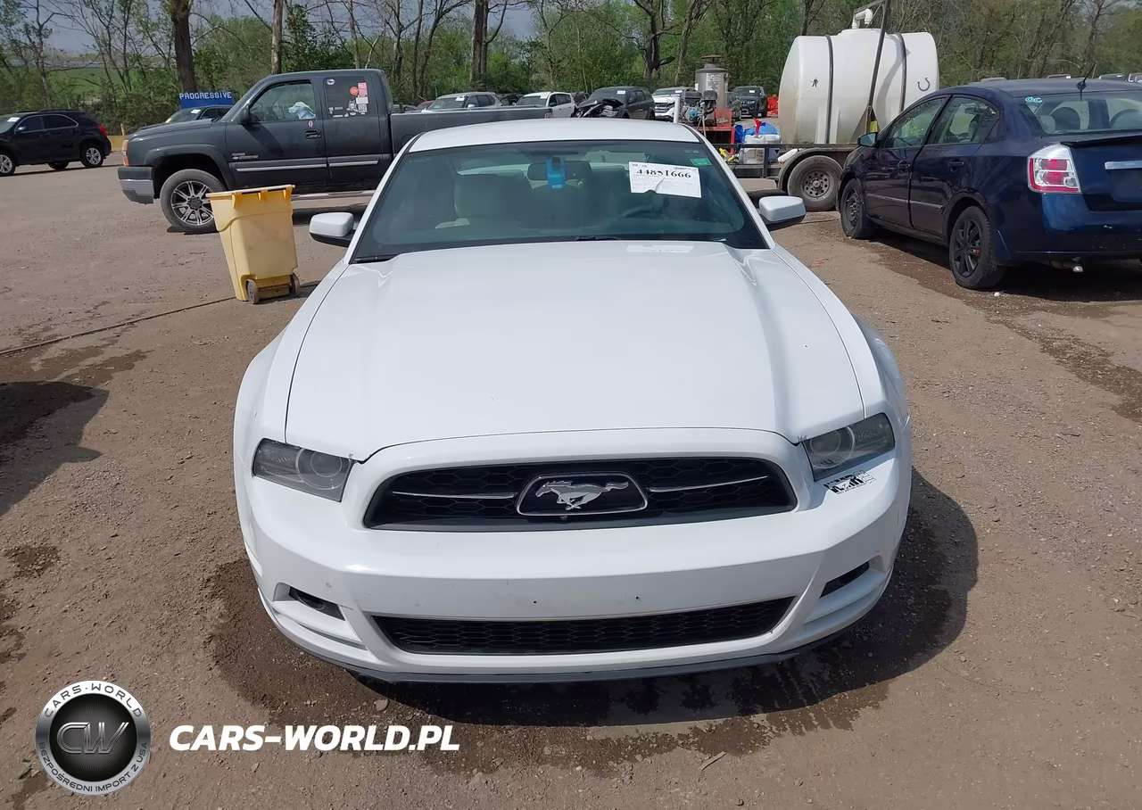 2014 Ford Mustang V6 Premium VIN:1ZVBP8AM4E5253995 - 12