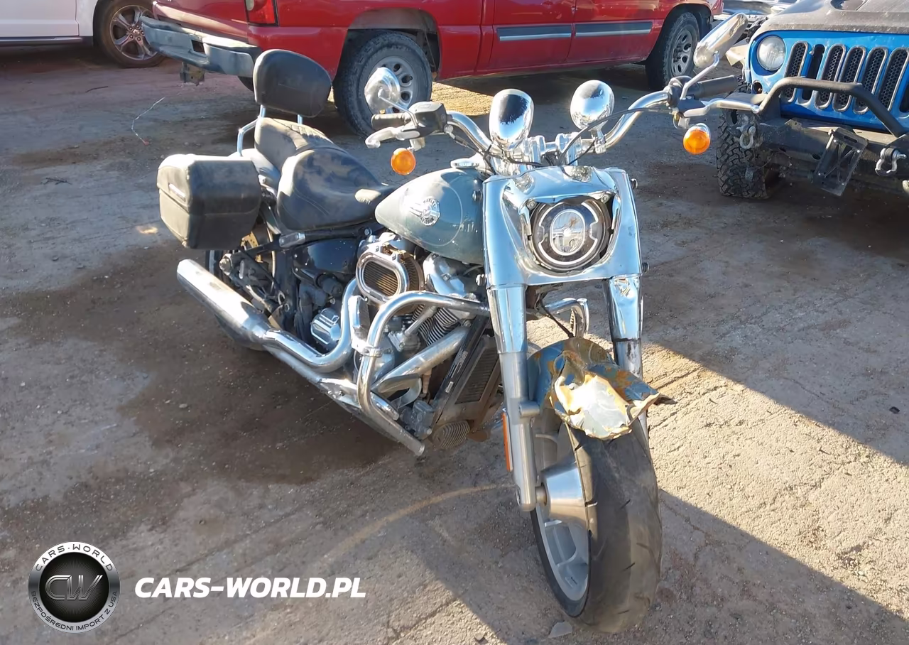 2024 Harley-Davidson Flfbs