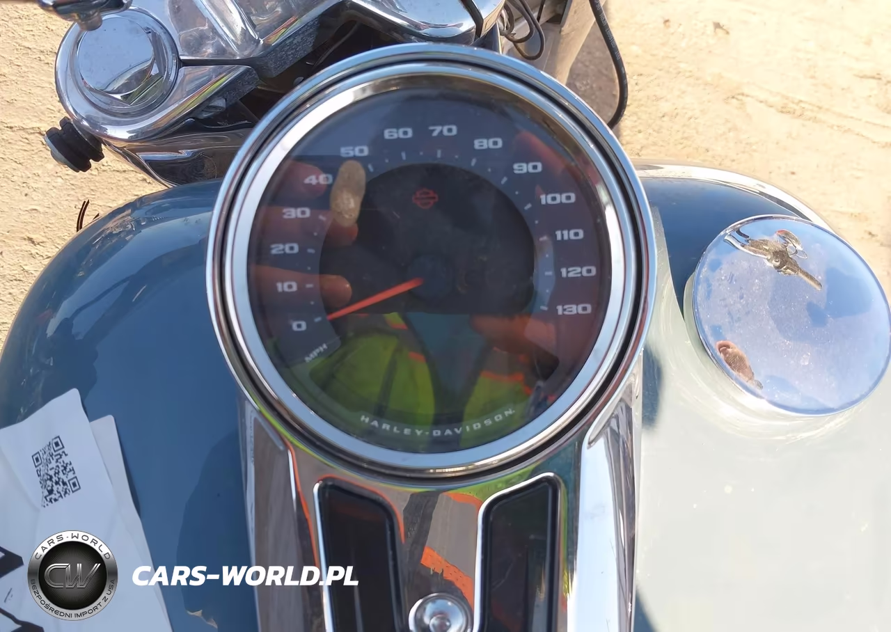 2024 Harley-Davidson Flfbs VIN:1HD1YGK16RB015937 - 7