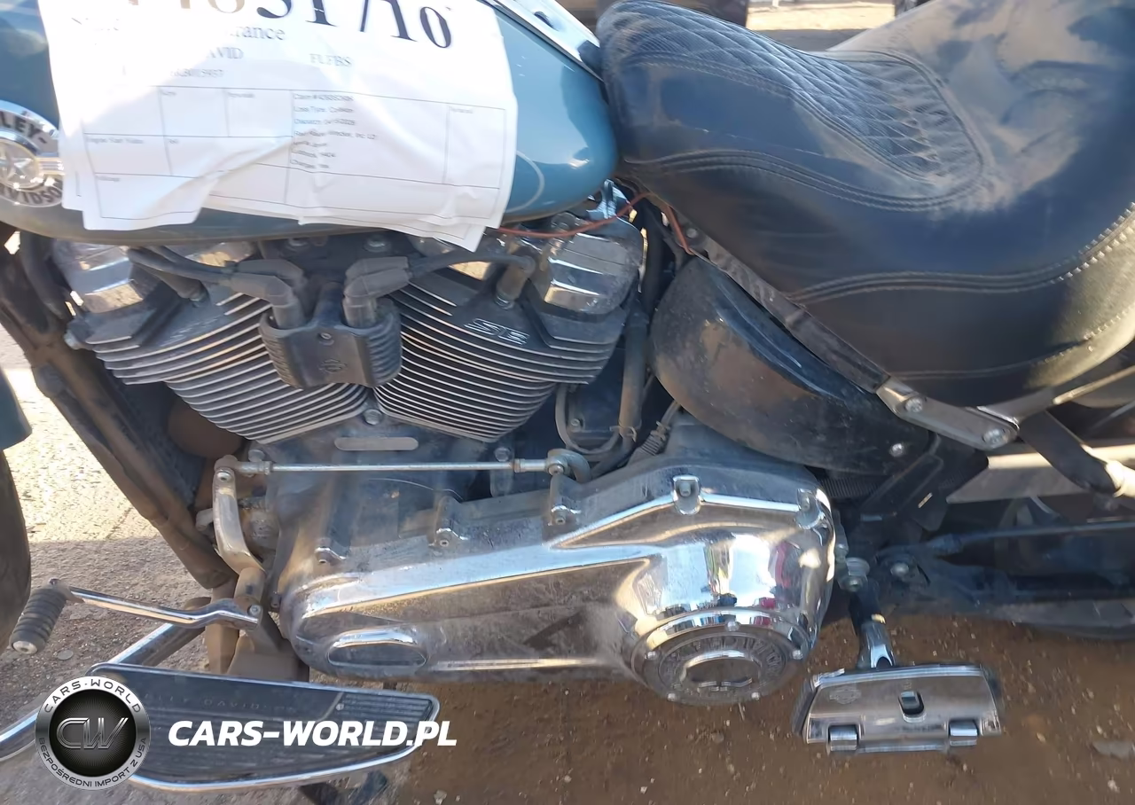 2024 Harley-Davidson Flfbs VIN:1HD1YGK16RB015937 - 9