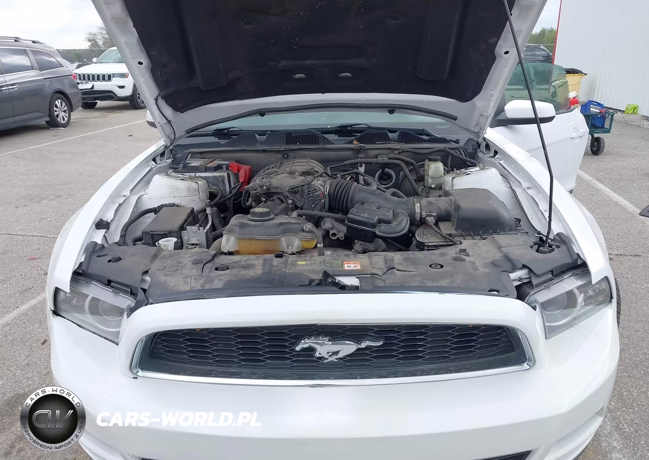 2014 Ford Mustang V6 Premium VIN:1ZVBP8AMXE5279369 - 10