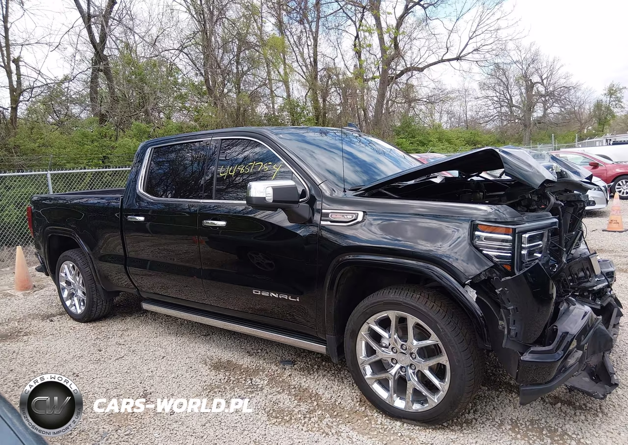 2023 GMC Sierra 1500 4Wd Standard Box Denali VIN:3GTUUGEL2PG194862 - 13