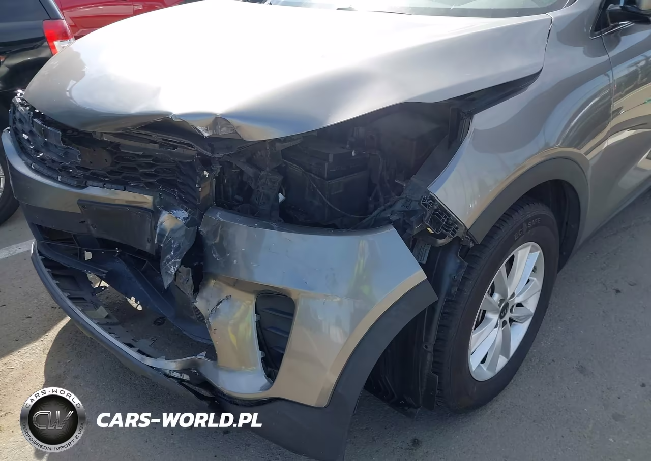 2019 Kia Sorento 3.3L Lx VIN:5XYPG4A56KG489593 - 12