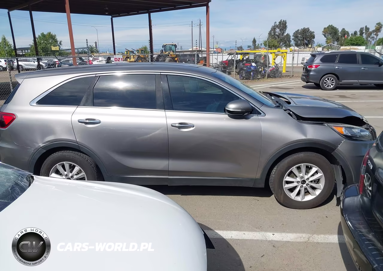 2019 Kia Sorento 3.3L Lx VIN:5XYPG4A56KG489593 - 14