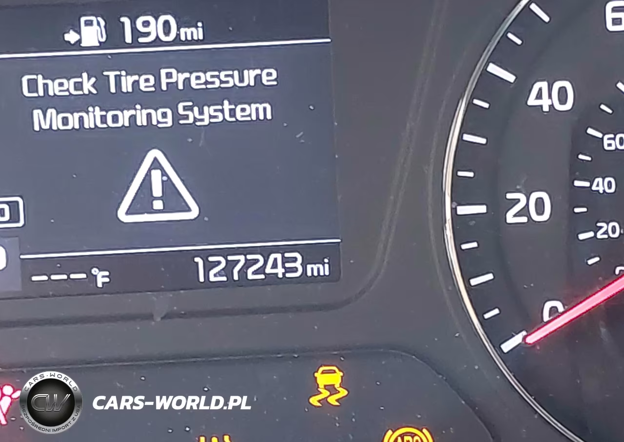 2019 Kia Sorento 3.3L Lx VIN:5XYPG4A56KG489593 - 16