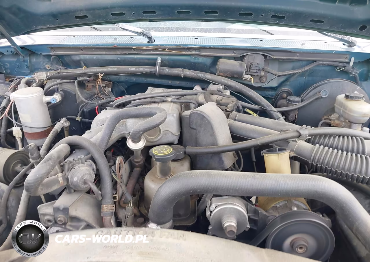 1994 Ford F150 VIN:1FTDF15Y3RNB28964 - 10